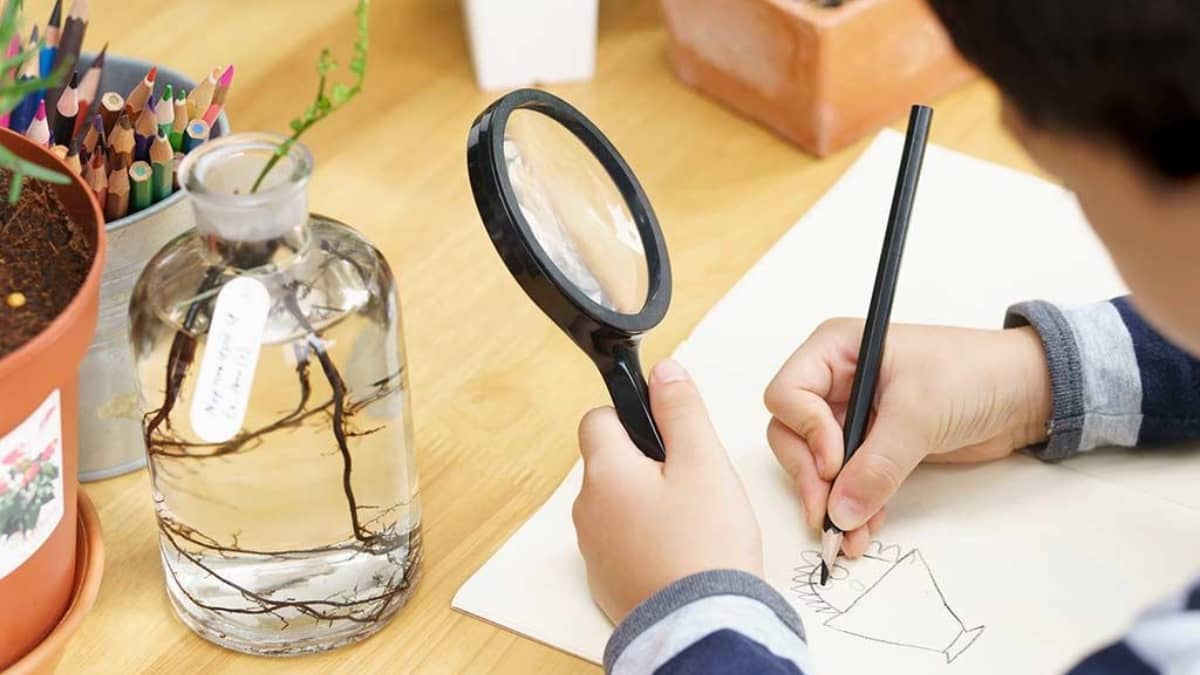 Science Experiments to Do at Home